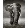 Tuinposter Wandelende olifant - 80 x 60cm - Zwart