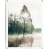 Tuinposter Zon door de bomen - 80 x 60cm - Groen