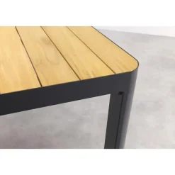 Vdgarde Premium - General tuintafel 220x100cm.