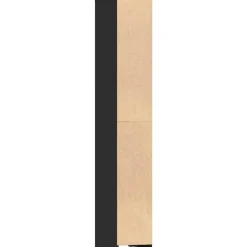 vidaXL - Badkamerkast - Zwart - Bewerkt hout