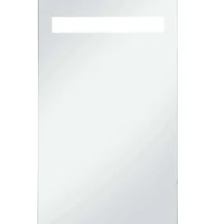 vidaXL - Badkamerspiegel - Zilver - Glas - 60 x 100 cm