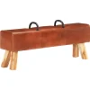 vidaXL - Bankje - Bruin - Leer