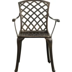 vidaXL - Bistroset - Bruin - Aluminium