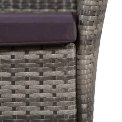 vidaXL - Bistroset - Grijs - Poly rattan