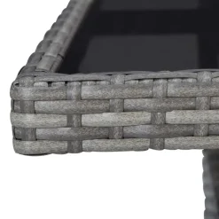 vidaXL - Bistroset - Grijs - Poly rattan