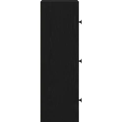 vidaXL - Boekenkast met 3 deuren voor woonkamers - Zwart - Hout - 40x24x77 cm