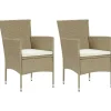 vidaXL - Buitenstoel - Beige - Poly rattan - 2 stuks