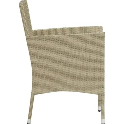 vidaXL - Buitenstoel - Beige - Poly rattan - 2 stuks