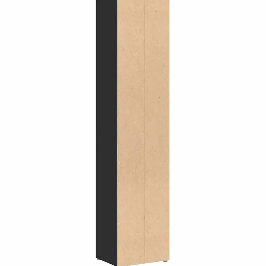 vidaXL - Cd-kast - Zwart - Bewerkt hout - 2 stuks