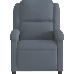 vidaXL - Fauteuil - Grijs - Fluweel