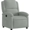 vidaXL - Fauteuil - Grijs - Fluweel