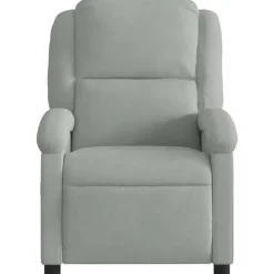 vidaXL - Fauteuil - Grijs - Fluweel