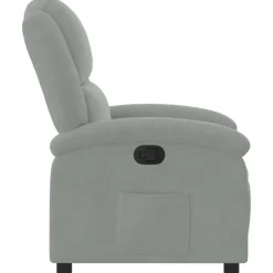 vidaXL - Fauteuil - Grijs - Fluweel