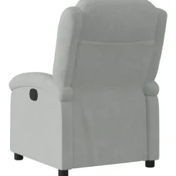 vidaXL - Fauteuil - Grijs - Fluweel