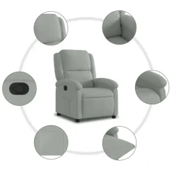 vidaXL - Fauteuil - Grijs - Fluweel