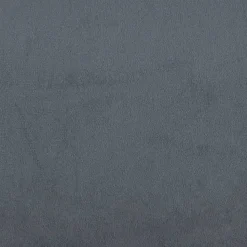 vidaXL - Fauteuil - Grijs - Fluweel