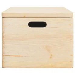 vidaXL - Houten Kist - Bruin - Grenenhout - 40 x 30 x 23 cm