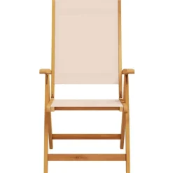 vidaXL - Inklapbare tuinstoelen - Bruin - Acaciahout - 2 stuks