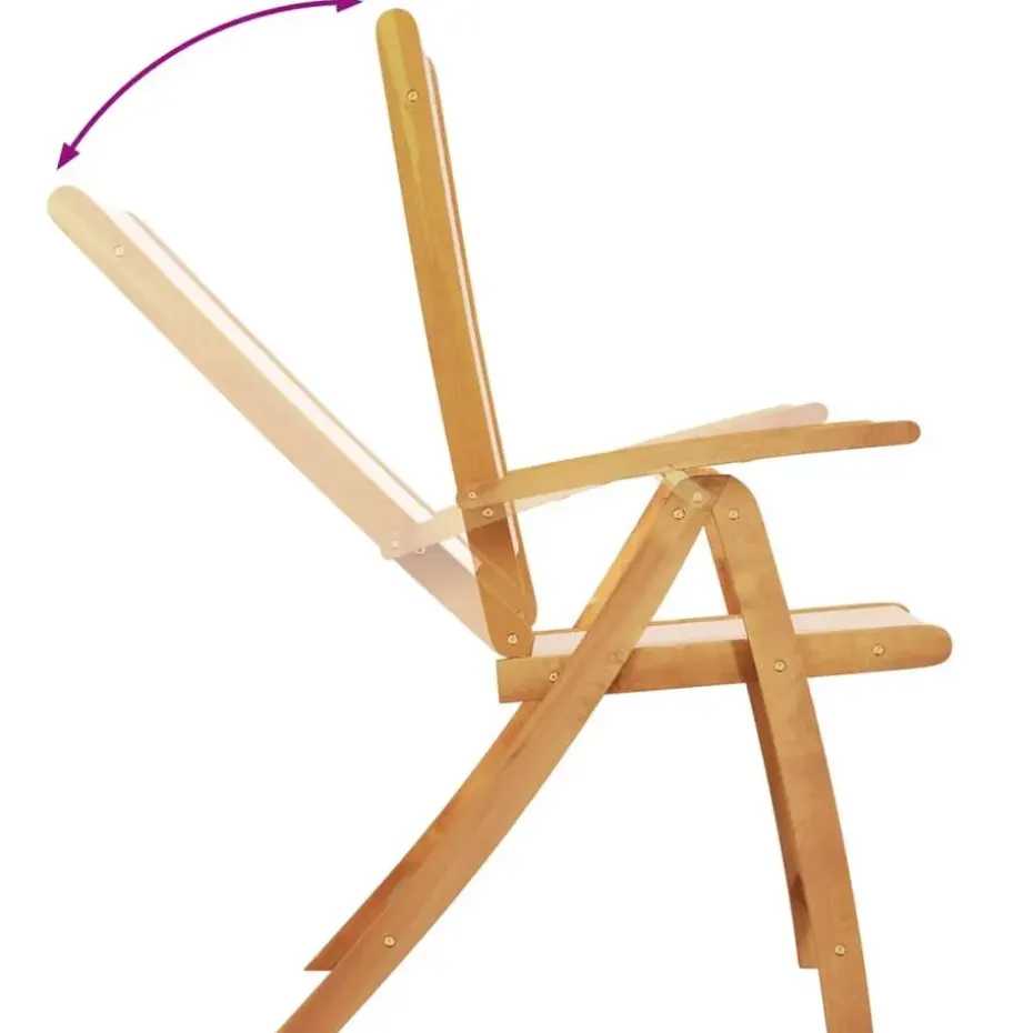 vidaXL - Inklapbare tuinstoelen - Bruin - Acaciahout - 2 stuks