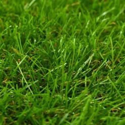 vidaXL - Kunstgras - Groen - Polypropyleen - 1 x 10 m