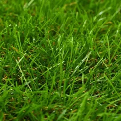 vidaXL - Kunstgras - Groen - Polypropyleen - 1 x 8 m