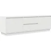 vidaXL - LED TV-meubel met 2 lades en 4 deuren - Wit - Hout - 160.5x41x50 cm