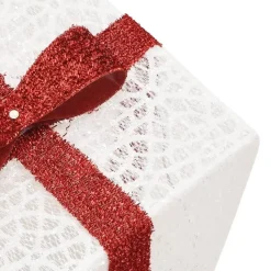 vidaXL - Lichtgevende Kerstdoos - Wit - 3 stuks