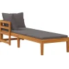 vidaXL - Ligbed met 1 armleuning - Grijs - Acaciahout