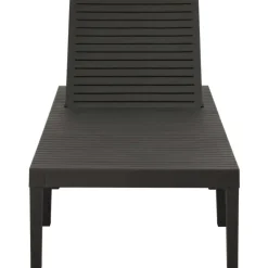 vidaXL - Ligstoel - Antraciet - Kunststof