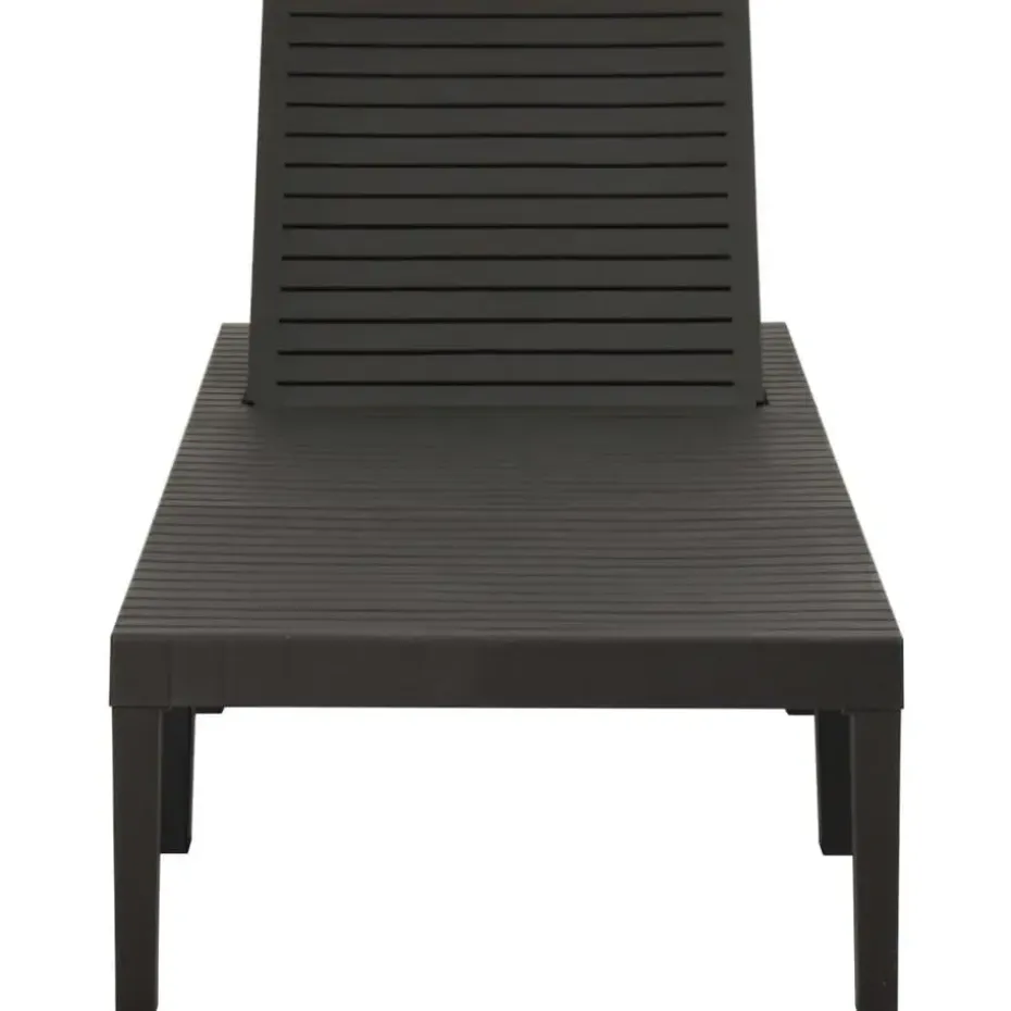 vidaXL - Ligstoel - Antraciet - Kunststof