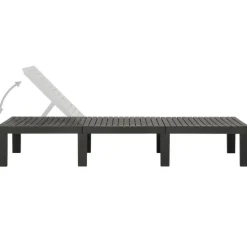 vidaXL - Ligstoel - Antraciet - Kunststof