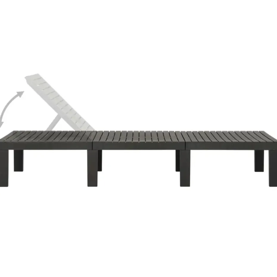 vidaXL - Ligstoel - Antraciet - Kunststof