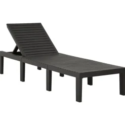 vidaXL - Ligstoel - Antraciet - Kunststof