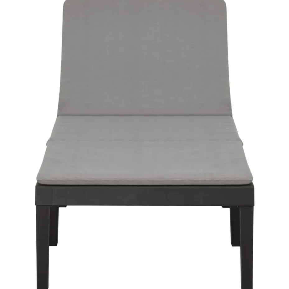 vidaXL - Ligstoel - Antraciet - Kunststof