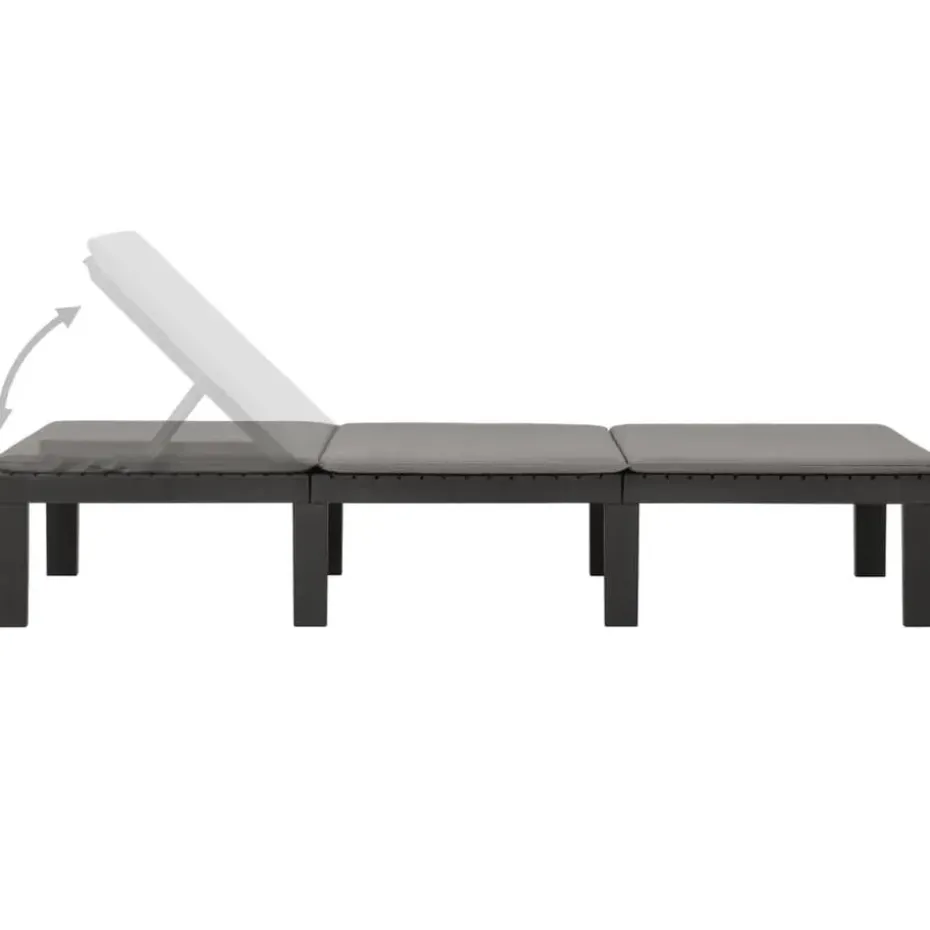 vidaXL - Ligstoel - Antraciet - Kunststof