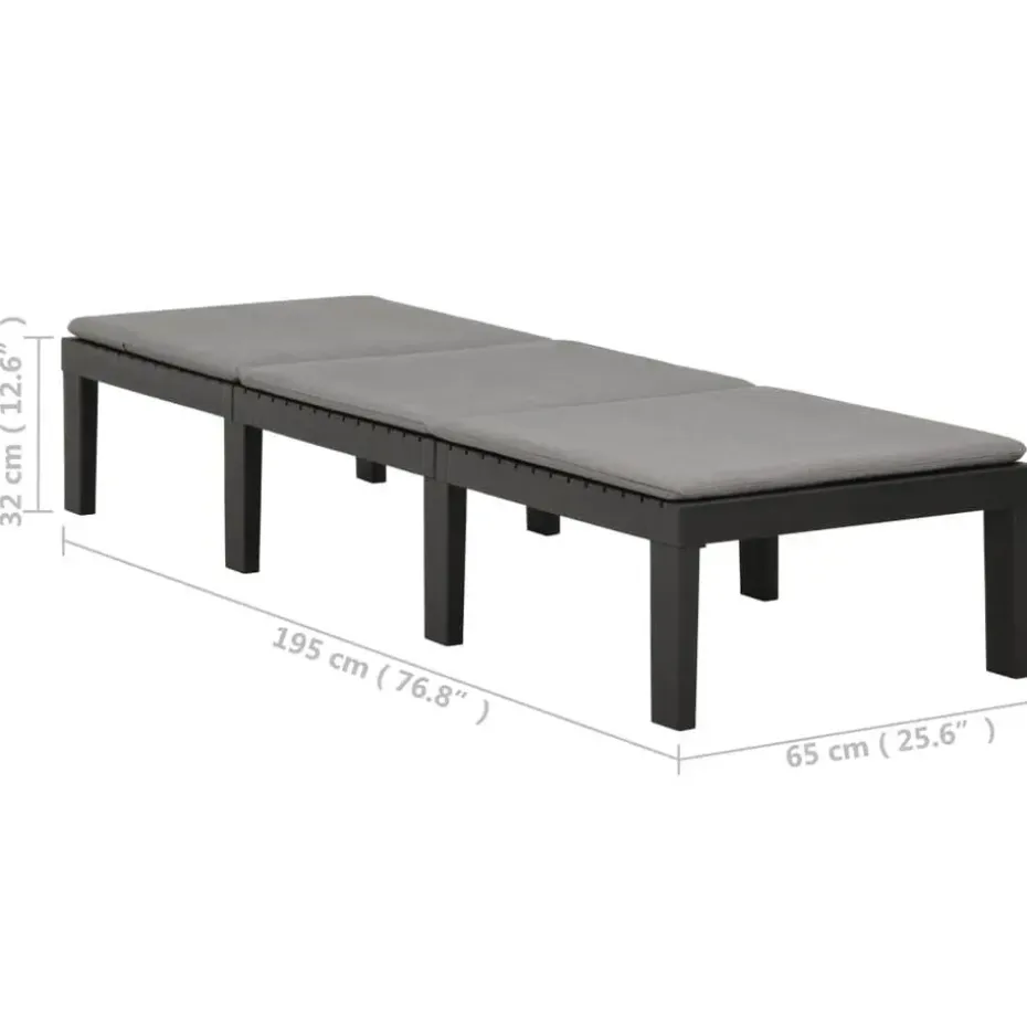 vidaXL - Ligstoel - Antraciet - Kunststof