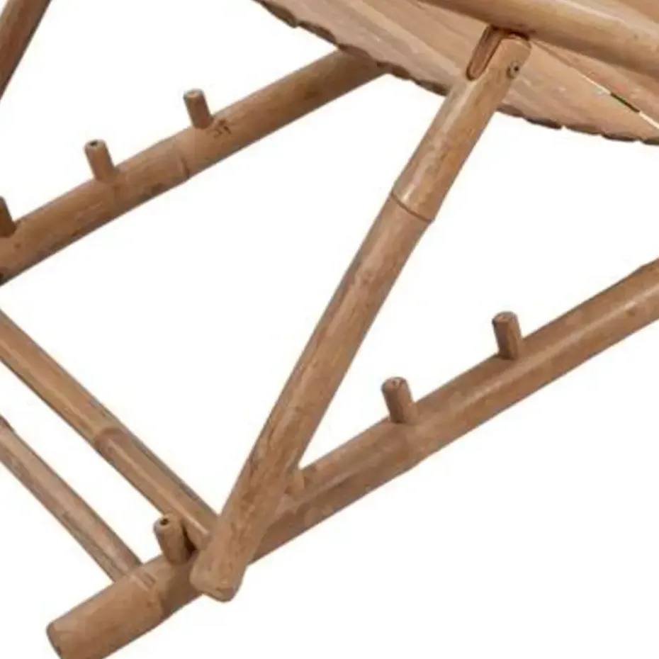 vidaXL - Ligstoel - Bruin - Hout