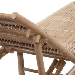 vidaXL - Ligstoel - Bruin - Hout