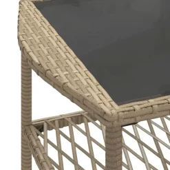 vidaXL - Loungeset - Beige - Poly rattan