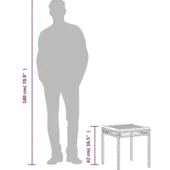 vidaXL - Loungetafel - Weerbestendig - Zwart - Poly rattan en hout - 38x38x42cm