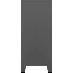 vidaXL - Opbergkast - Antraciet - Staal