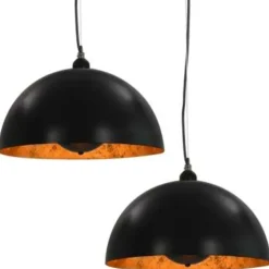 vidaXL - Plafondlamp - Zwart - Metaal - 40 cm - 2 stuks