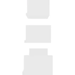 vidaXL - Plank - Wit - Bewerkt hout - 60 x 15 x 10 cm - 3 stuks