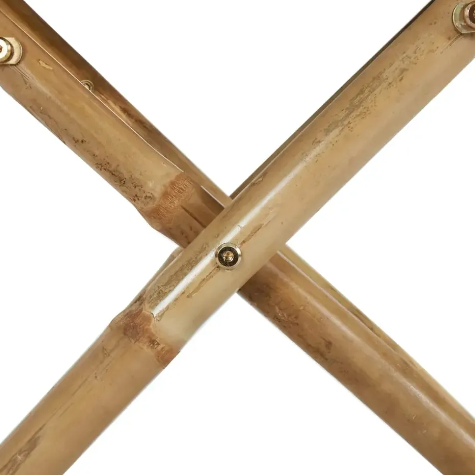 vidaXL - Regisseursstoel - Rood - Bamboe en stof - 2 stuks - Inklapbaar