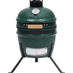 vidaXL - Rokersbarbecue - Groen - Keramiek