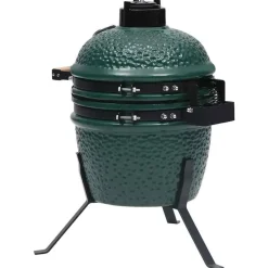 vidaXL - Rokersbarbecue - Groen - Keramiek