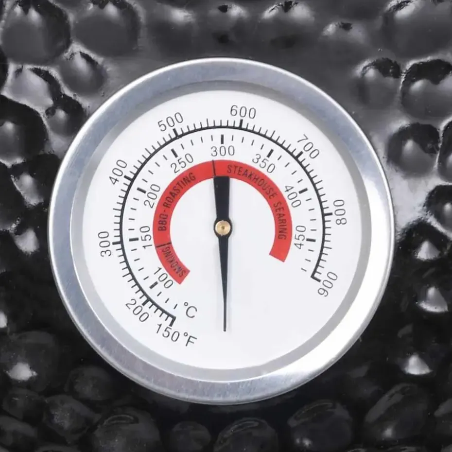 vidaXL - Rokersbarbecue - Zwart - Keramiek