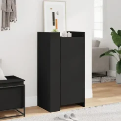 vidaXL - Schoenenkast 10 paar met 1 deur - Zwart - Bewerkt hout - 52x37.5x100 cm