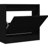 vidaXL - Schoenenkast 2 paar met 1 klep - Zwart - Bewerkt hout - 60x21x57 cm