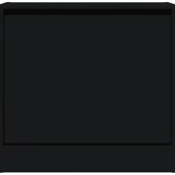 vidaXL - Schoenenkast 2 paar met 1 klep - Zwart - Bewerkt hout - 60x21x57 cm